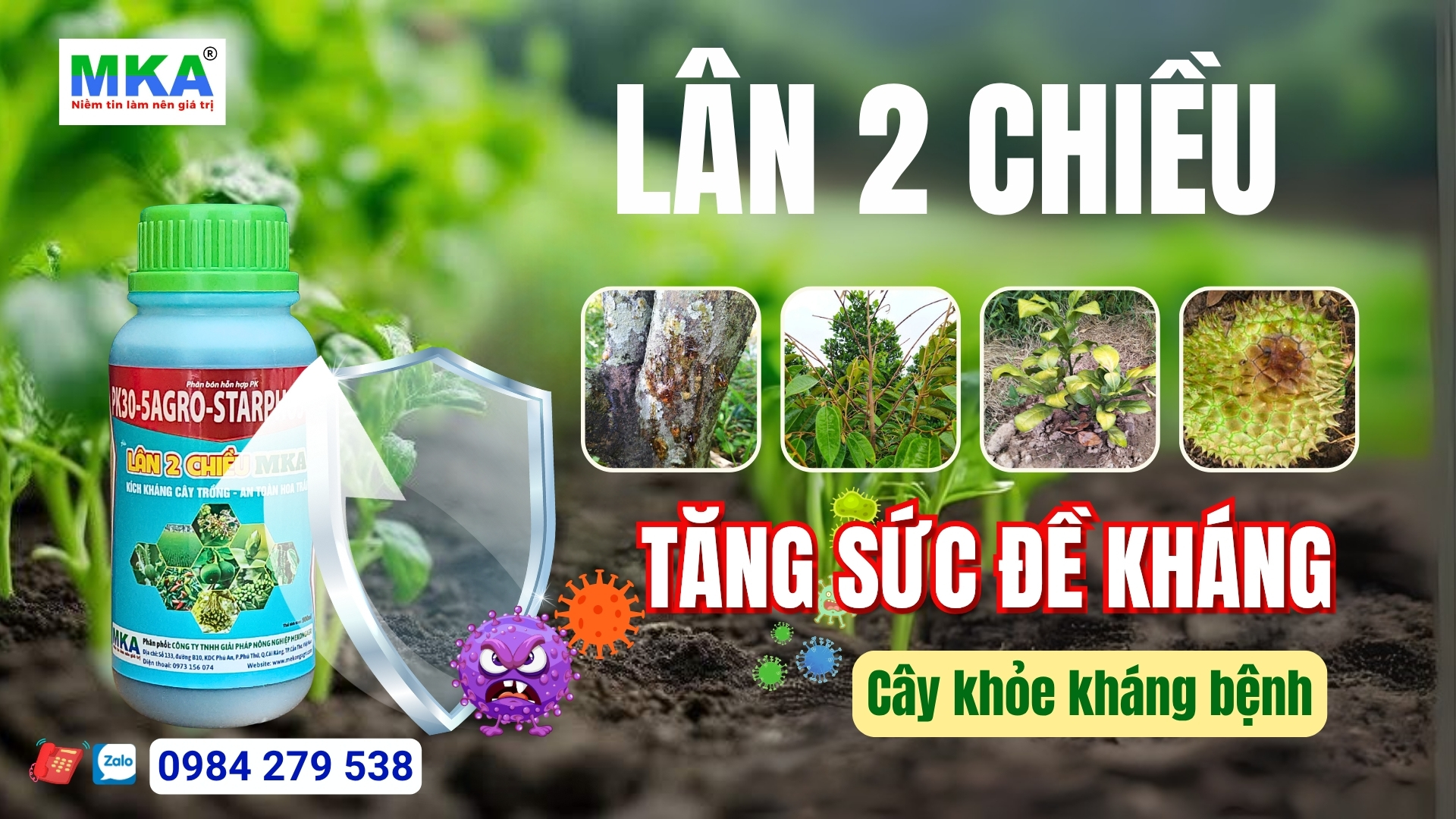 Lân 2 chiều tăng sức đề kháng cho cây trồng